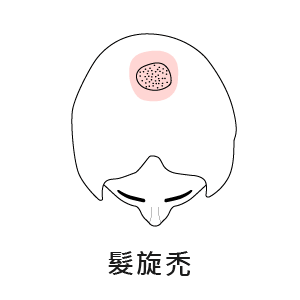 工作區域-1-複本-2