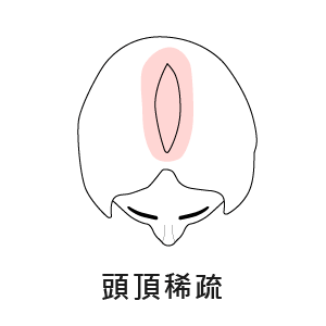 適合我嗎